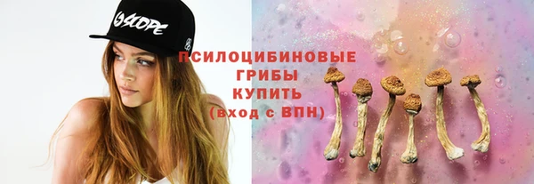 не бодяженный Белокуриха